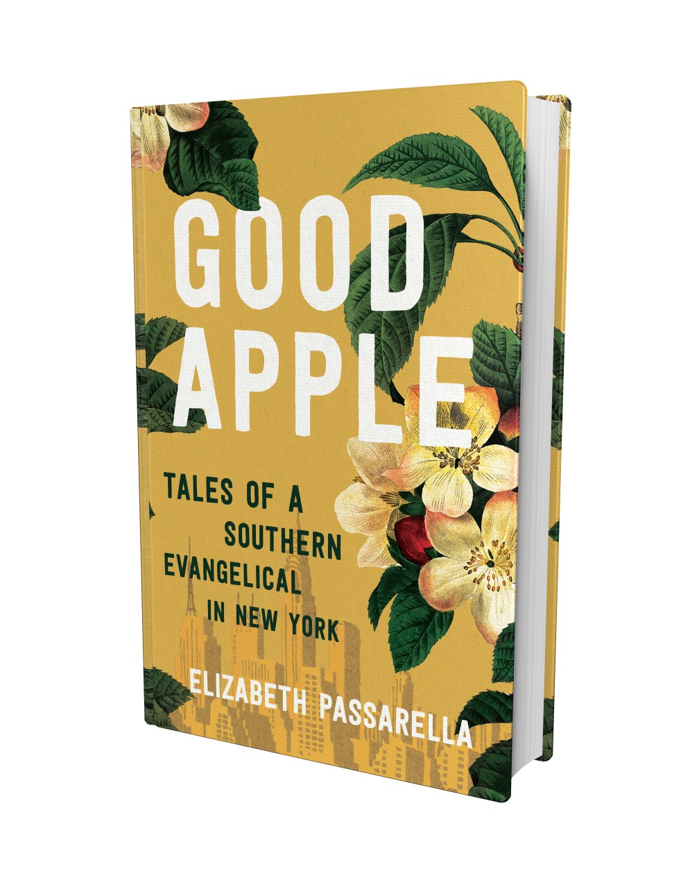 3D image of Good Apple book