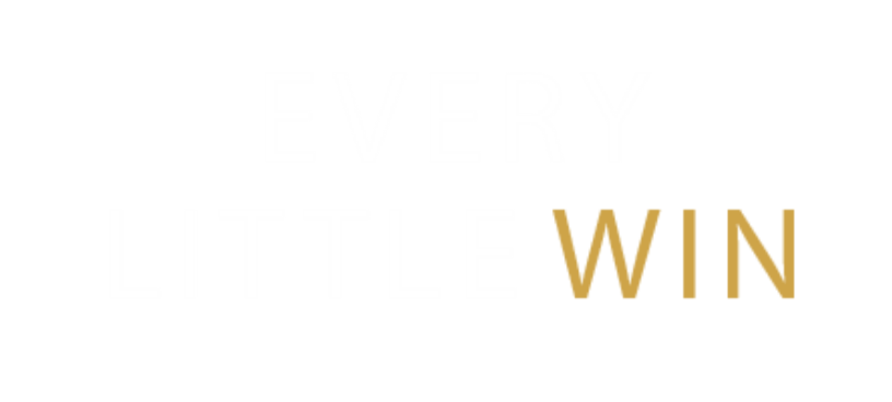 Every Little Win Book